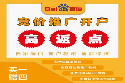 搜索引擎营销（SEM）的广告创意与落地页设计——以某成功创业公司的实践为例